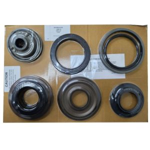 Juego pistones 9 pistones 5L40E 2002-