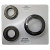 Juego Pistones JF011E 2007-